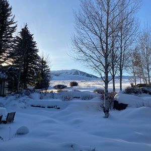 Meet your Posher, Grant